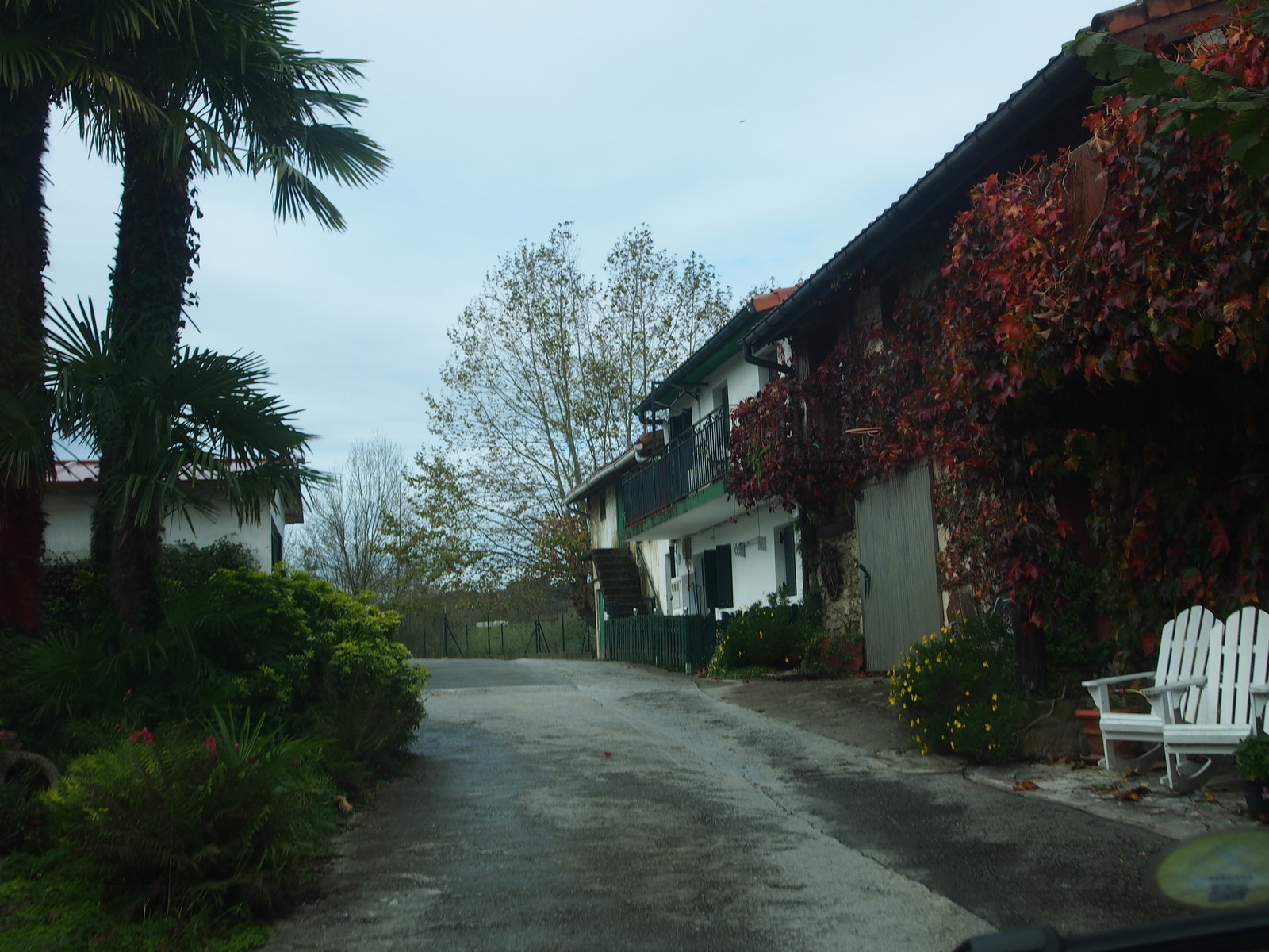 Pa272453 Pa272453
