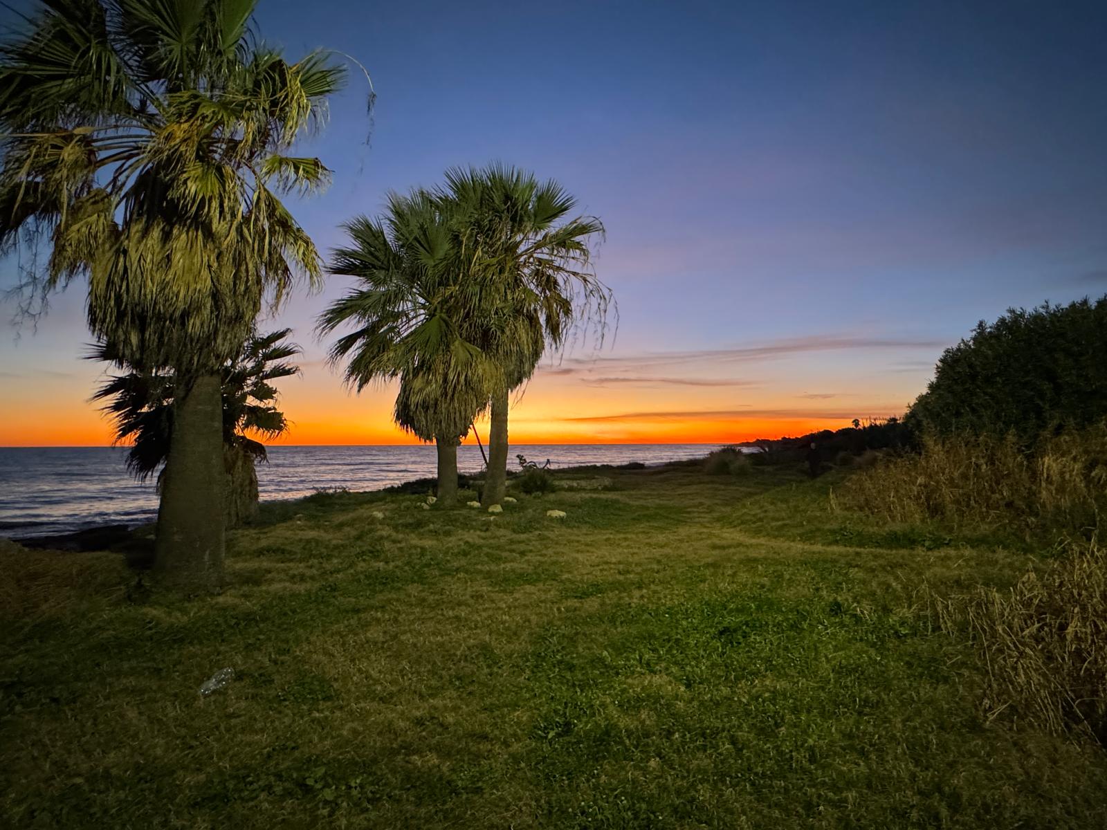 Whatsapp-image-2026-01-13-at-1 Whatsapp-image-2026-01-13-at-1