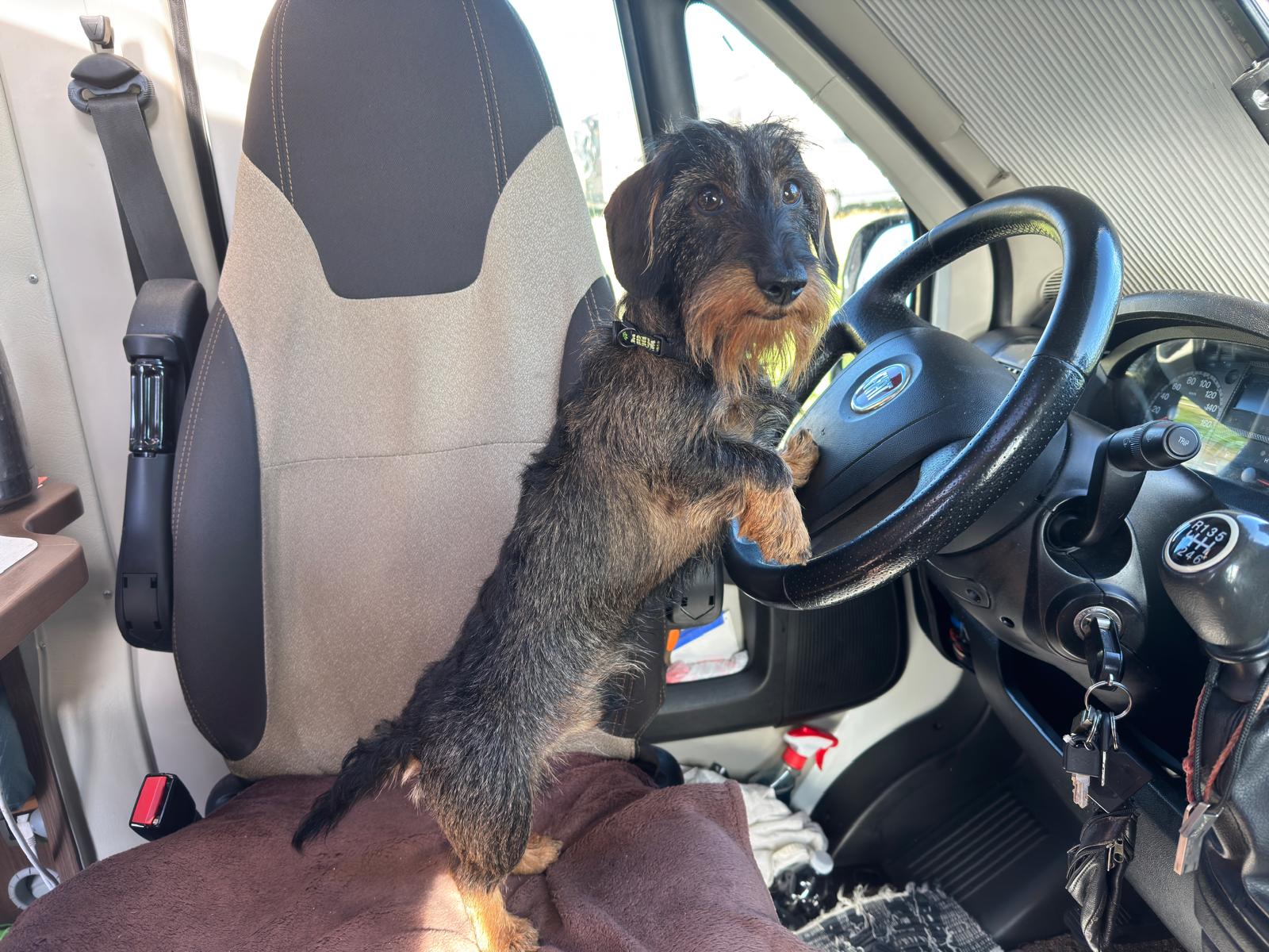 Whatsapp-image-2026-01-13-at-10- Whatsapp-image-2026-01-13-at-10-