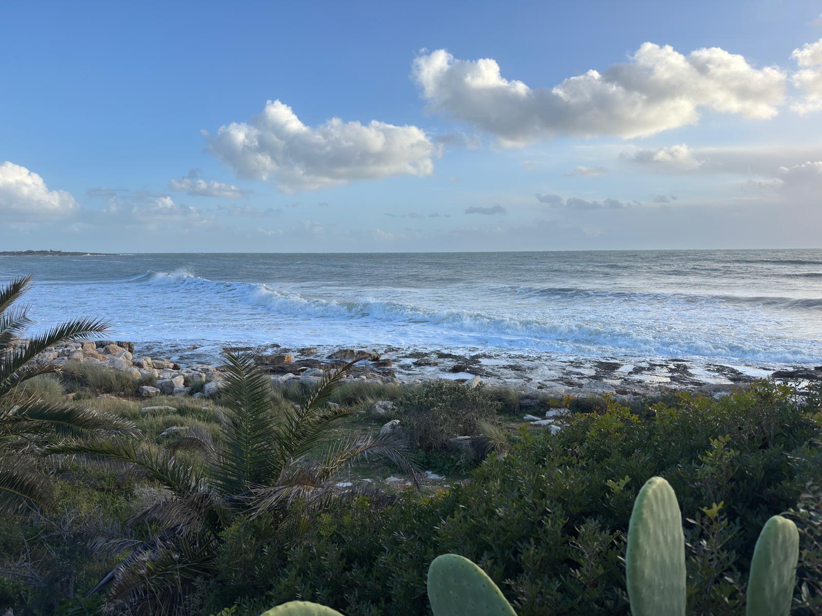 Whatsapp-image-2026-01-13-at-10-01- Whatsapp-image-2026-01-13-at-10-01-