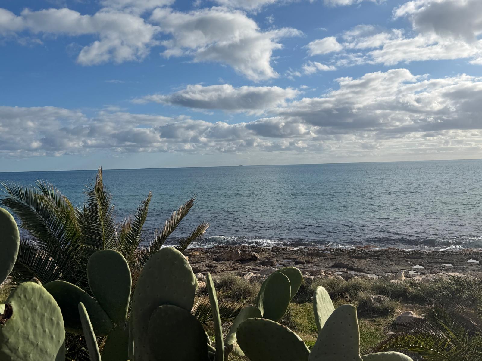 Whatsapp-image-2026-01-13-at-17- Whatsapp-image-2026-01-13-at-17-