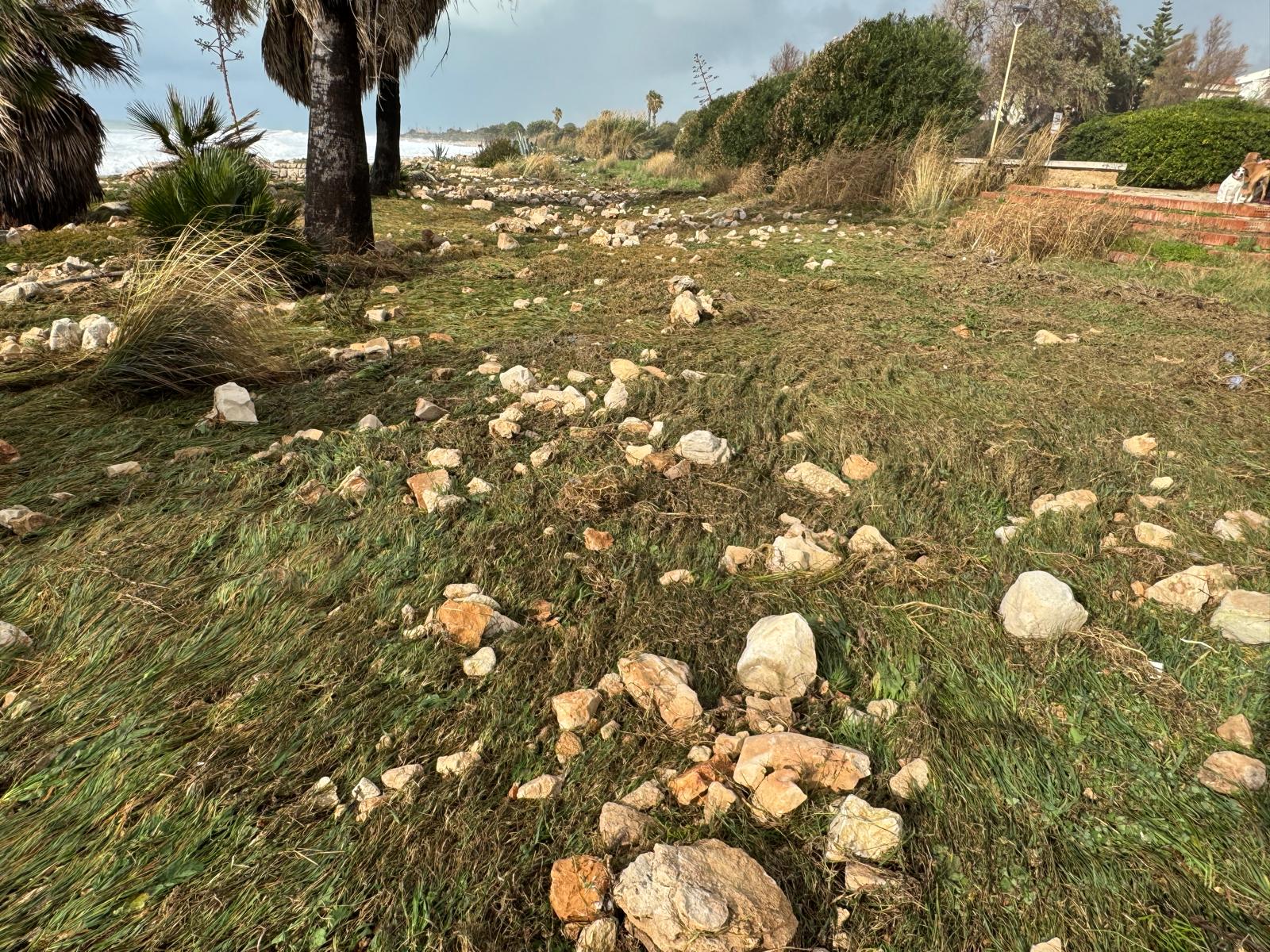 Whatsapp-image-2026-01-22-at-19- Whatsapp-image-2026-01-22-at-19-